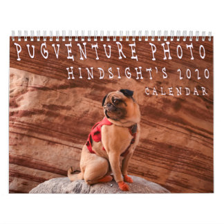 Pugventure Foto Hindsight's 2020 Calendar (Mediu) Kalender