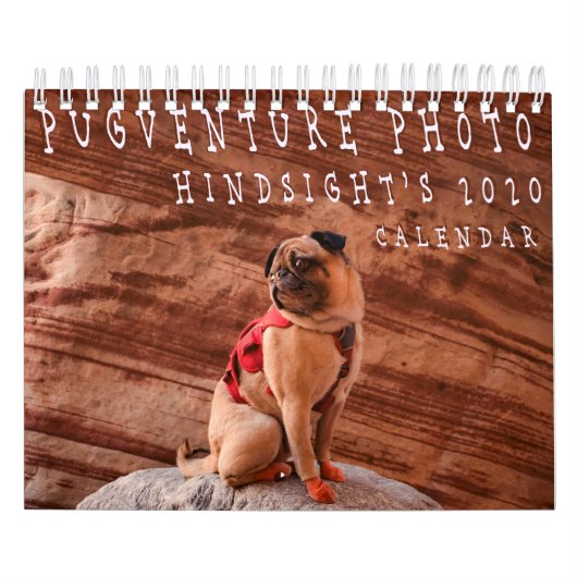 Pugventure Foto Hindsight's 2020 Calendar (Small) Kalender (Titelbild)
