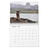 Pugventure Foto Hindsight's 2020 Calendar (Small) Kalender (Feb 2027)