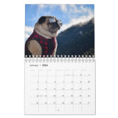 Pugventure Foto Hindsight's 2020 Calendar (Small) Kalender (Jan 2026)