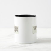 Puigcera Tasse (Zentrum)