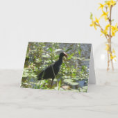 Pukeko Birthday Card Karte (Gelbe Blume)