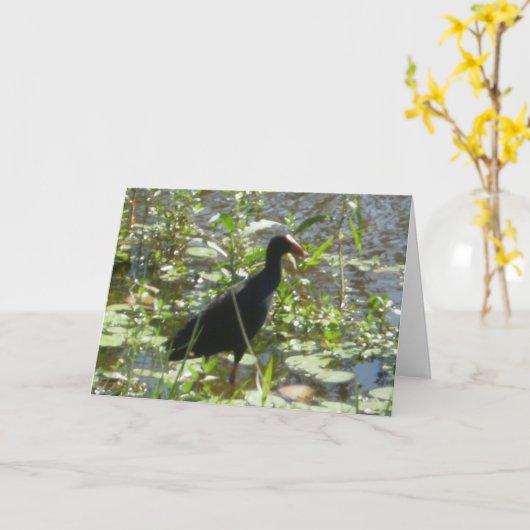 Pukeko Birthday Card Karte (Gelbe Blume)