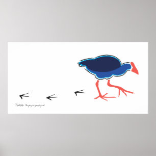 Pukeko Schritt-Plakat/Druck Poster