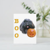Puli Boo Postkarte (Stehend Vorderseite)