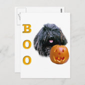 Puli Boo Postkarte (Vorne/Hinten)