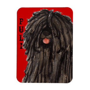 Puli Color Block Magnet