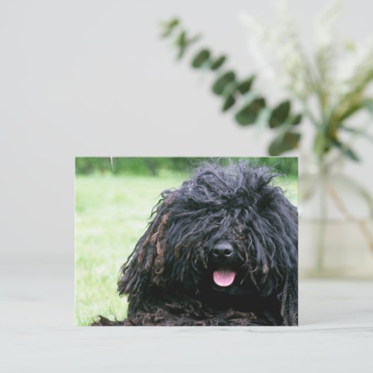 Puli Dog Postcard Postkarte (Stehend Vorderseite)