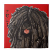 Puli Farbblock Fliese (Vorderseite)