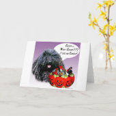 Puli Halloween Candy Karte (Gelbe Blume)