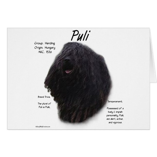 Puli History Design (Vorderseite (Horizontal))