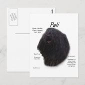Puli History Design Postkarte (Vorne/Hinten)