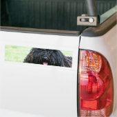 Puli HundeAutoaufkleber Autoaufkleber (Auf Lkw)