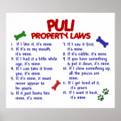 PULI PL2 POSTER (Vorne)