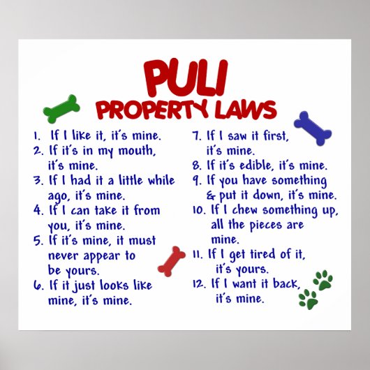 PULI PL2 POSTER (Vorne)