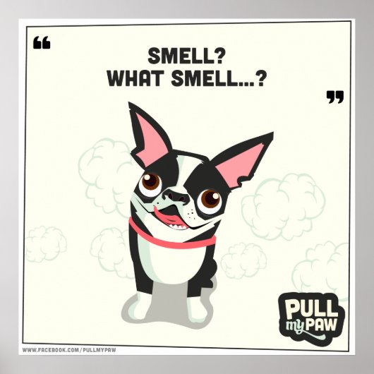 Pull My Paw - Poster 04 (Vorne)