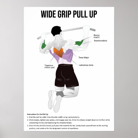 Pull-Up - Übung - Diagramm der Muskelanatomie Poster (Vorne)