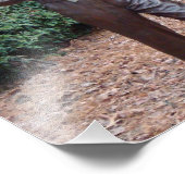 Pullen Park Raleigh Foto Print Andy Griffith (Ecke)