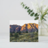 Pulliam Ridge, Big Bend National Park, Texas Postkarte (Stehend Vorderseite)