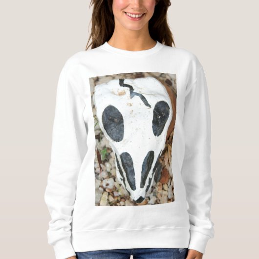 Pullover (Vorderseite)