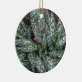 Pulmonaria - Lungwort mehrjährige Pflanze Keramik Ornament (Rechts)