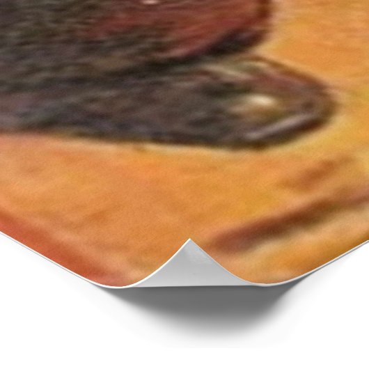 Pulp Cover Western Range Riders Pullkunst Poster (Ecke)