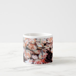 Pulpo a la gallega espressotasse