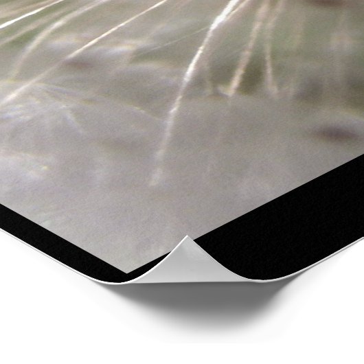 Pulsar Poster (Ecke)