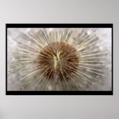 Pulsar Poster (Vorne)