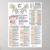 Pulsdiagnose Akupunktur TCM Poster (Vorne)