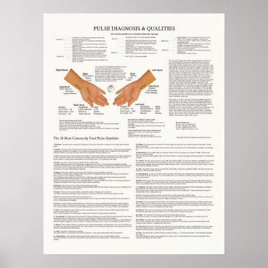 Pulsdiagnose Akupunkturdiagramm Poster (Vorne)