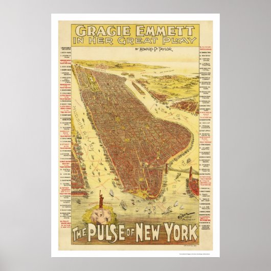 Pulse of New York Map 1891 Poster (Vorne)