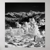 Pulverbeschichtung Poster (Vorne)