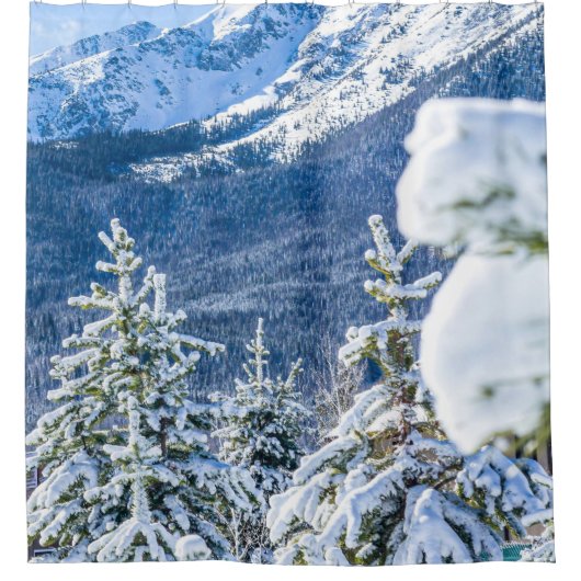 Pulverwald // Blauer Schnepfberg Duschvorhang (Vorderseite)