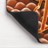 Pulvriger Mehltau-Pilz auf Poinsettia Mousepad (Ecke)