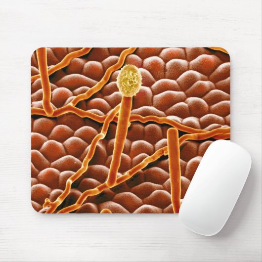 Pulvriger Mehltau-Pilz auf Poinsettia Mousepad (Mit Mouse)