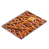 Pulvriger Mehltau-Pilz auf Poinsettia Notizblock (Linke Seite)