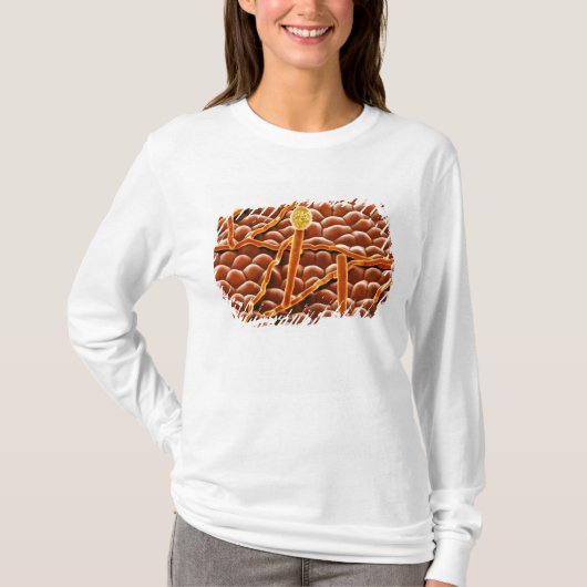 Pulvriger Mehltau-Pilz auf Poinsettia T-Shirt (Vorderseite)