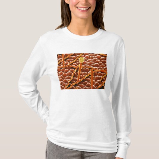 Pulvriger Mehltau-Pilz auf Poinsettia T-Shirt (Vorderseite)