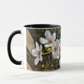 Pum Blossom Art Tasse (Links)
