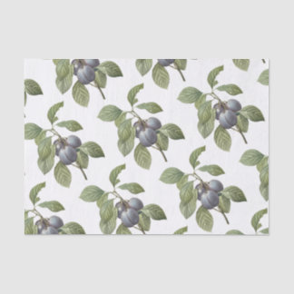 Pum Pattern Seidenpapier