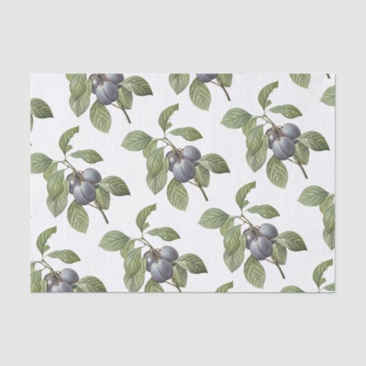 Pum Pattern Seidenpapier (Vorderseite)