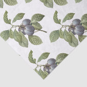 Pum Pattern Seidenpapier (Ausschnitt)