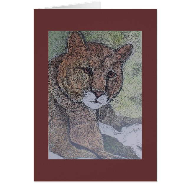 Puma (Vorne)