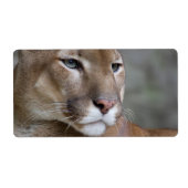 Puma (Vorne)