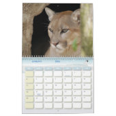 Puma 001, Puma Kalender (Jan 2026)