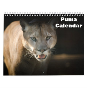 Puma 2026 kalender