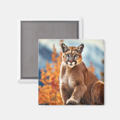 Puma Animal Wildlife Wilderness Frische Pasta mach Magnet (Vorderseite/Rückseite)