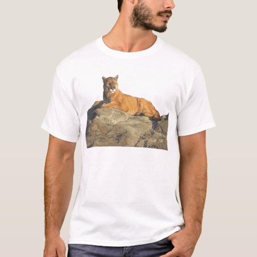 Puma auf Felsen T-Shirt (Vorderseite)