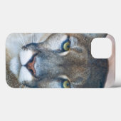 Puma, Berglöwe, Florida-Panther, Puma 2 Case-Mate iPhone Hülle (Rückseite (Horizontal))